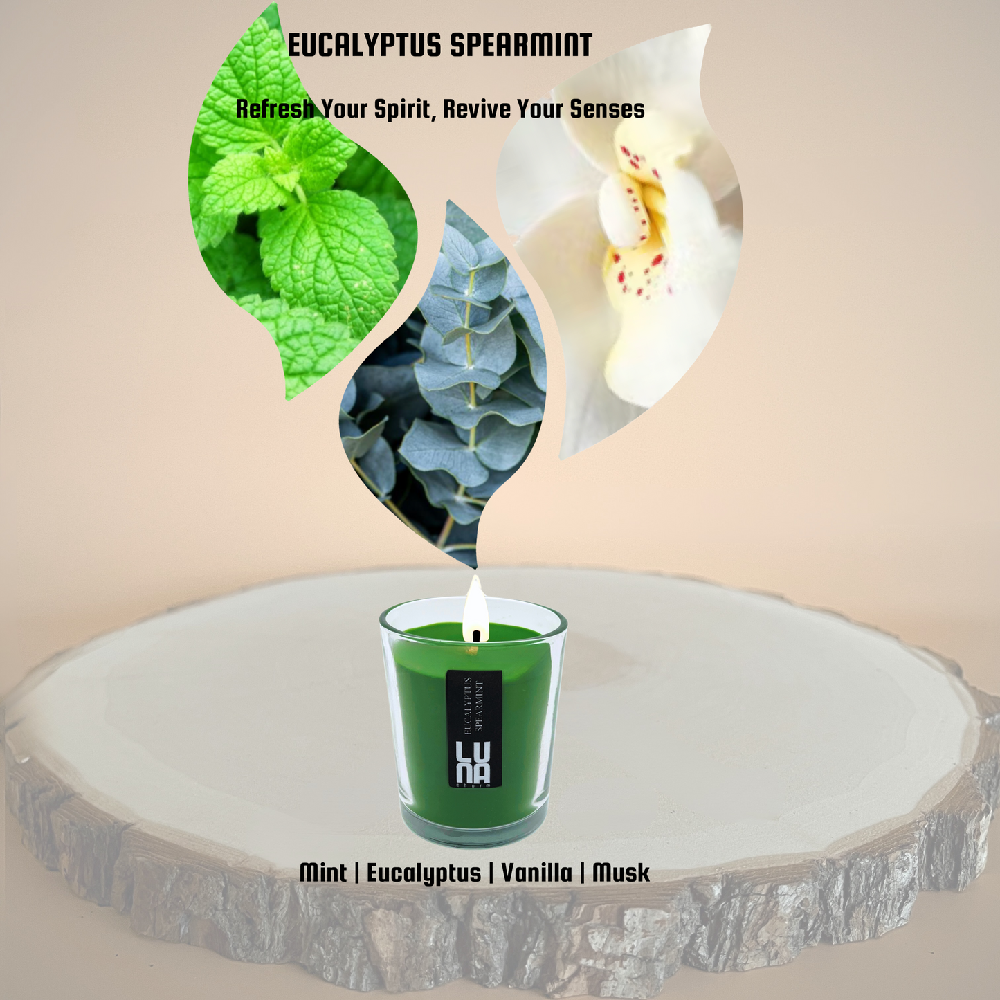 Eucalyptus Spearmint